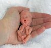 12 week fetus.jpg